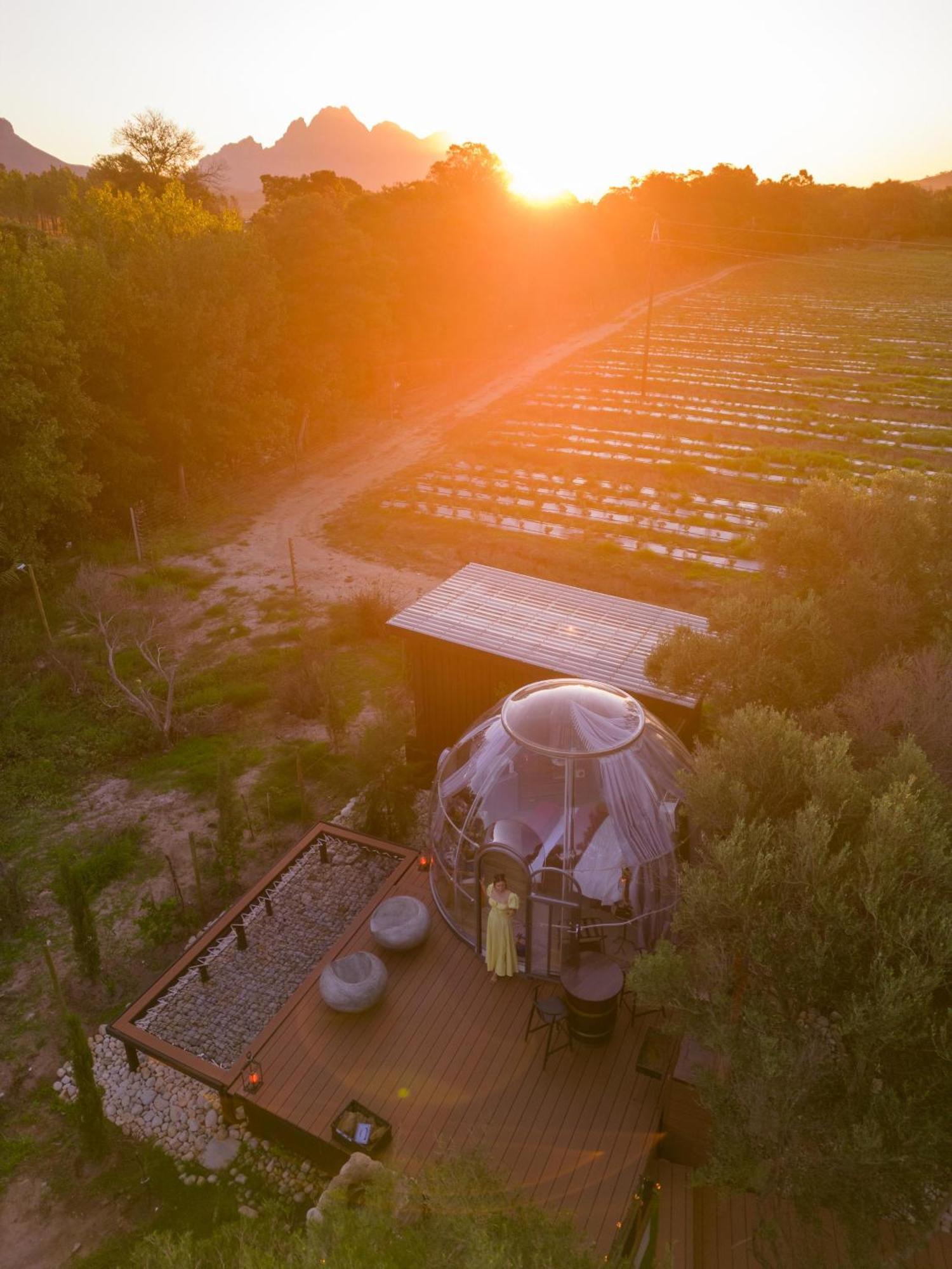 The Vino Dome By Once Upon A Dome Франсхук Экстерьер фото